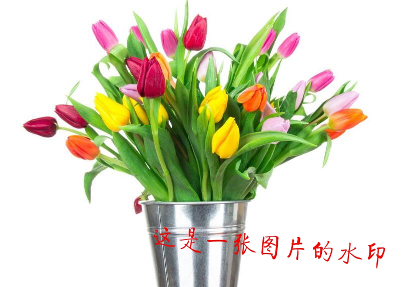 text-photo